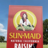 World's Largest Box of Raisins