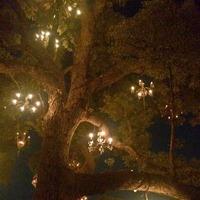 The Chandelier Tree