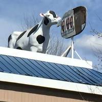 Gas Station Cow with Word Balloon