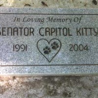 Senator Capitol Kitty Memorial