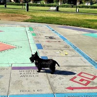 World's Largest Permanent Outdoor Monopoly Board