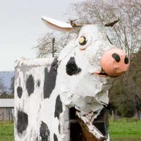 Junk Art Cow