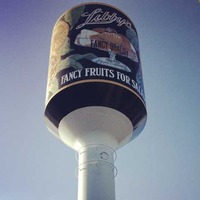 Fruit Cocktail Can Water Tower