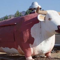 Giant Cow Food Stand