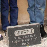 Brownie The Railroad Dog