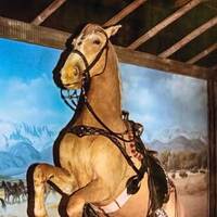 Roy Rogers' Horse, Trigger