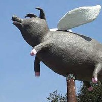 Flying Pig on Pole