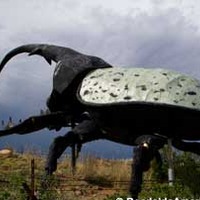 Herkimer: World's Largest Beetle
