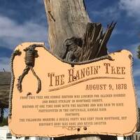 The Hangin' Tree