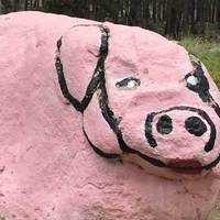 Pink Pig Rock