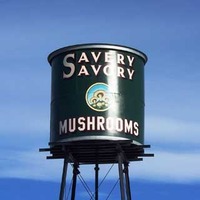 Savery Savory Mushrooms Water Tower