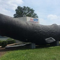 Conny, the Walk-Thru Outdoor Whale