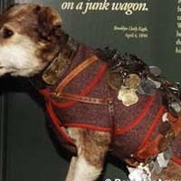 Owney, the Postal Dog Mascot