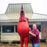Big Red Rooster