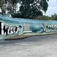 Swampy: World's Largest Alligator