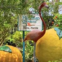 Davie, FL - Flamingo Gardens