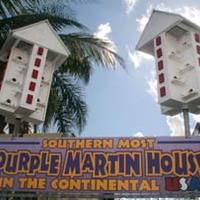 Southernmost Purple Martin House In The Continental USA