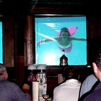 Wreck Bar Mermaid Show
