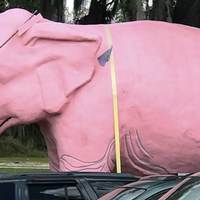 Pink Elephant With Glowing Eyes