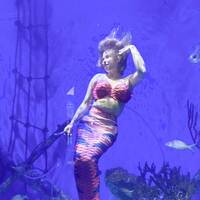 Mertailors Mermaid Aquarium Encounter
