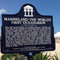 Marineland - Nothing Like the Original