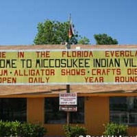Indian Village Gator Wrestling