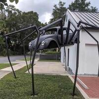 VW Bug Spider