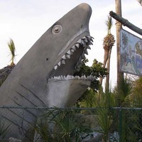Shipwreck Minigolf Shark