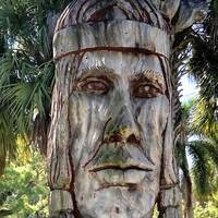 Calostimucu: Toth Indian Head