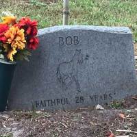 Old Bob, Funeral Horse Grave