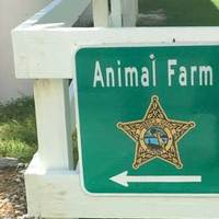 Prison Animal Farm