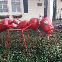 Big Red Fire Ant