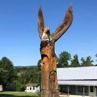 Tree Eagle, Indian, Buffalo