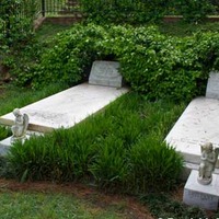 Allman Brothers Caged Party Graves