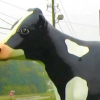 Giant Flea Market Cow