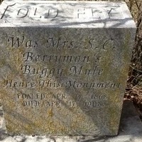 Roadside Grave of Old Fly, Beloved Mule