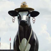 Flea Market Mascot Big Cow