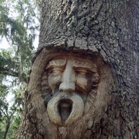 Tree Spirits of St. Simons Island