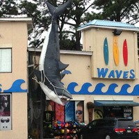 Great White Shark Catch Statue