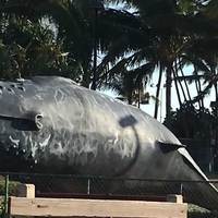 Life-Size Whale Statue