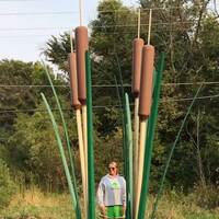 Large Cattails