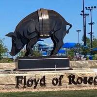 Floyd of Rosedale: Famous Pig