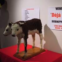 Deja-Moo: Two-Headed Calf