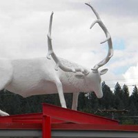 Folk Art White Elk
