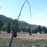 Large Fishing Pole With Fish