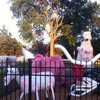 Braidwood Zoo Animal Sculptures