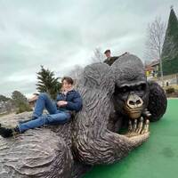 World's Largest Bronze Gorilla