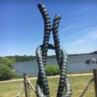 World's Largest Square Knot