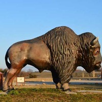 Teepee, Big Buffalo, and Fighting Horses