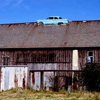 1955 Ford in Barn Roof